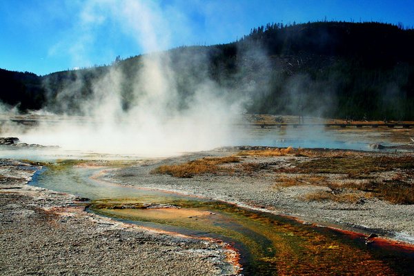 Comment découvrir la faune et la flore du parc national de Yellowstone lors d'une randonnée guidée ?